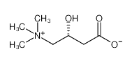 L-Carnitine